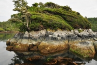 Archipelago Wildlife Cruises