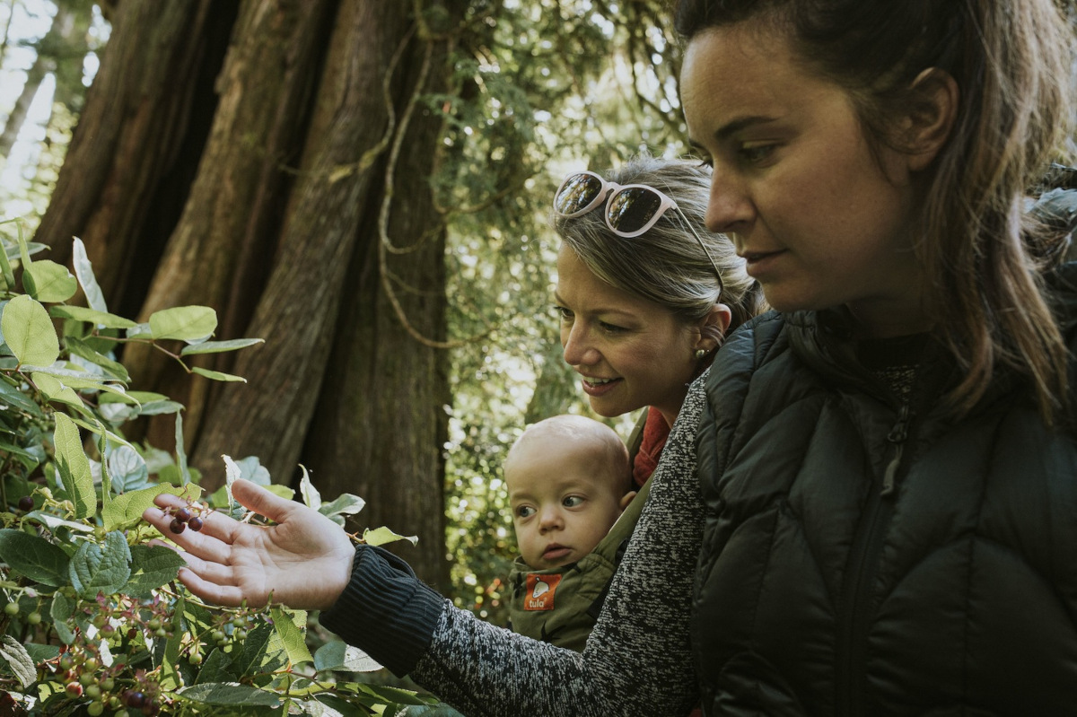 Long Beach Nature Tours