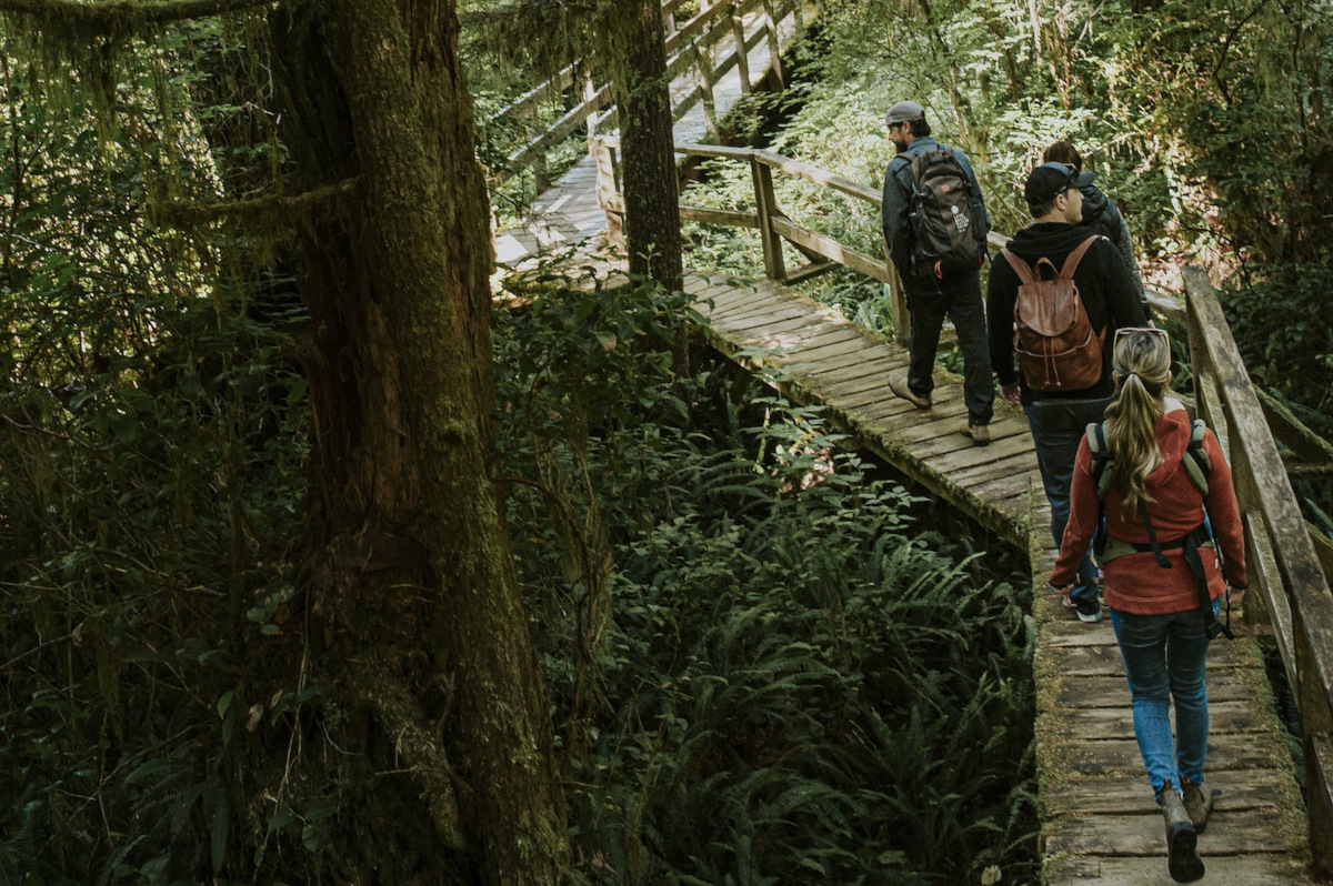 Long Beach Nature Tours