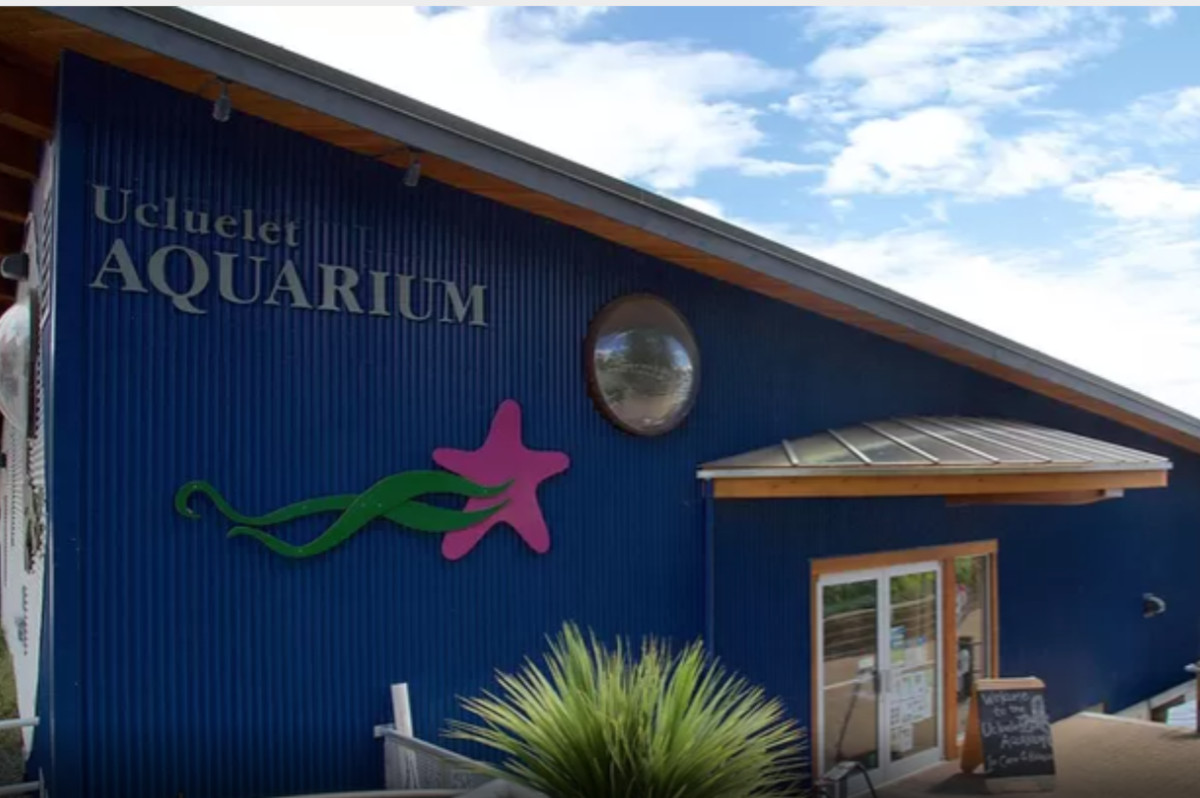 Ucluelet Aquarium