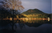 Anchors Inn Waterfront Cabins